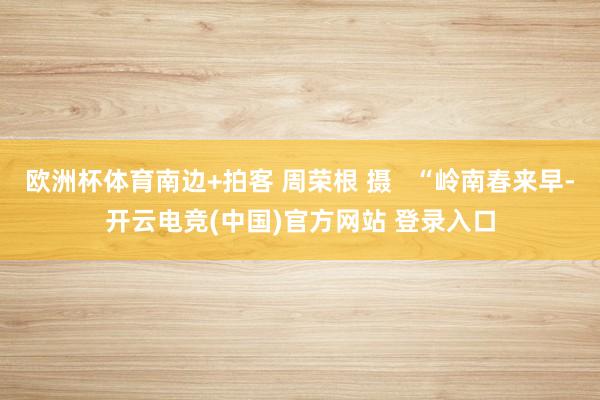 欧洲杯体育南边+拍客 周荣根 摄   “岭南春来早-开云电竞(中国)官方网站 登录入口