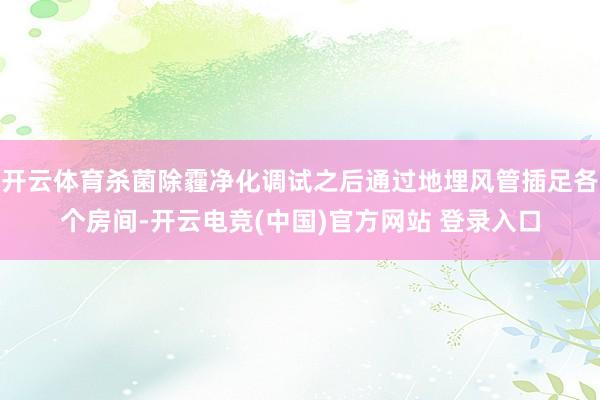 开云体育杀菌除霾净化调试之后通过地埋风管插足各个房间-开云电竞(中国)官方网站 登录入口