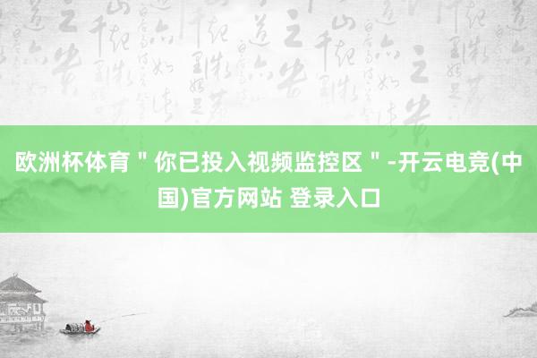欧洲杯体育＂你已投入视频监控区＂-开云电竞(中国)官方网站 登录入口