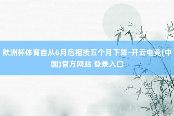 欧洲杯体育自从6月后相接五个月下降-开云电竞(中国)官方网站 登录入口