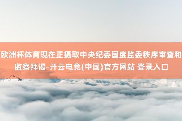 欧洲杯体育现在正摄取中央纪委国度监委秩序审查和监察拜谒-开云电竞(中国)官方网站 登录入口