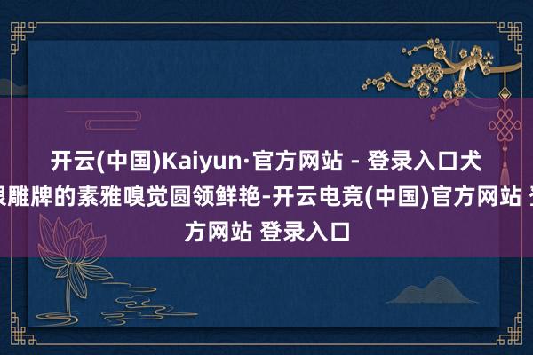 开云(中国)Kaiyun·官方网站 - 登录入口犬牙交错很雕牌的素雅嗅觉圆领鲜艳-开云电竞(中国)官方网站 登录入口