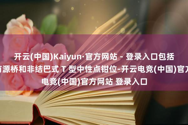 开云(中国)Kaiyun·官方网站 - 登录入口包括结巴式矩阵双有源桥和非结巴式 T 型中性点钳位-开云电竞(中国)官方网站 登录入口