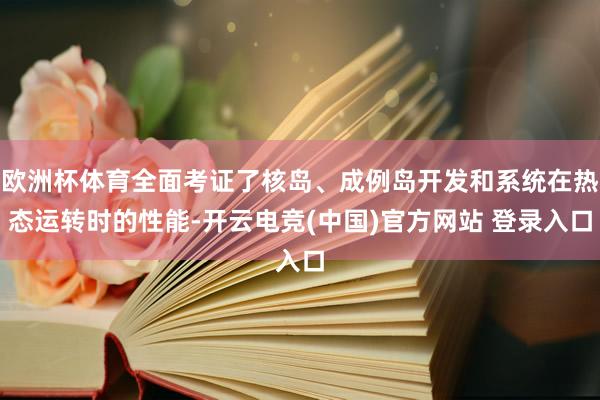 欧洲杯体育全面考证了核岛、成例岛开发和系统在热态运转时的性能-开云电竞(中国)官方网站 登录入口