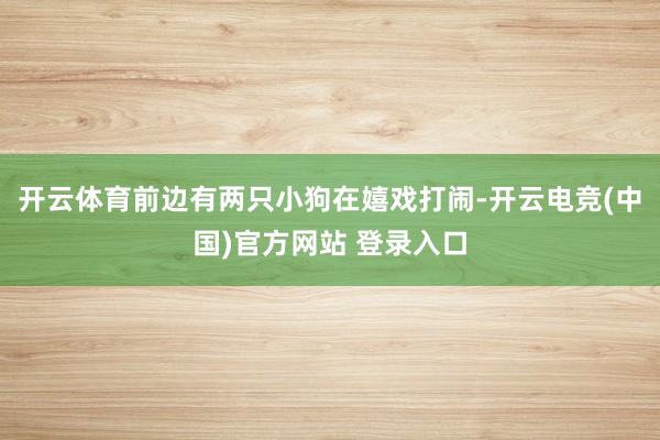 开云体育前边有两只小狗在嬉戏打闹-开云电竞(中国)官方网站 登录入口