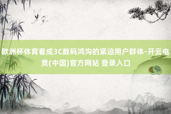 欧洲杯体育看成3C数码鸿沟的紧迫用户群体-开云电竞(中国)官方网站 登录入口